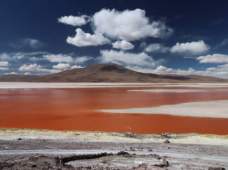 Laguna Colorada - Surrealistisch toch?