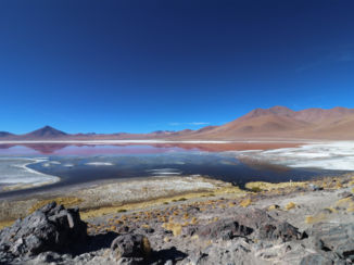 Laguna Colorada - De Laguna Colorada aan de andere zijde
