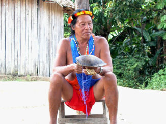 Suriname - Palumeu, bij de indianen. De muziekmaker van de stam in vol ornaat.