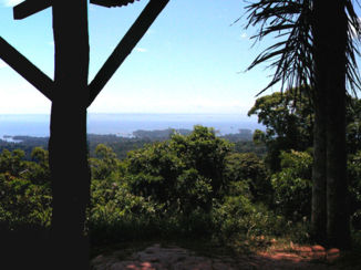 Suriname - Brownsberg