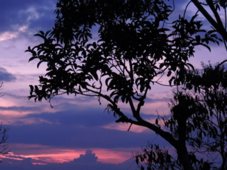 Colombia - Sunset salento