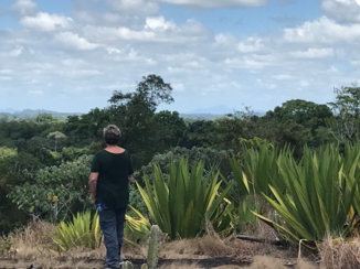 Suriname - De Ananasberg