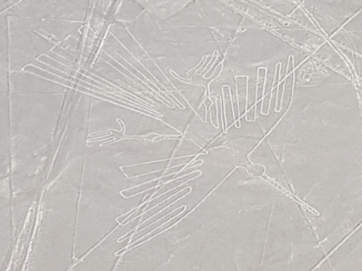 Peru - Nazca lijnen vanuit de lucht - "condor"