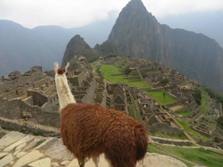 Peru - Wereldwonder Machu Picchu