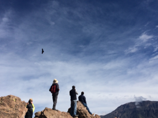 Peru - Colca Canyon