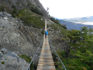 Torres del Paine - Levende brug