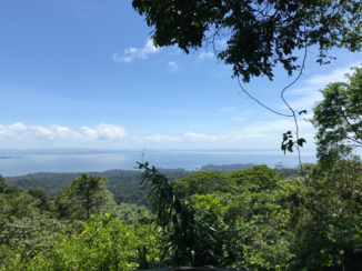 Suriname - Brownsberg