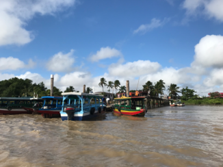 Suriname - Boottocht