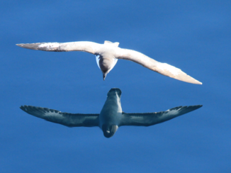 Argentinië - spiegelbeeld