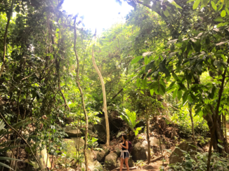 Tayrona National Park