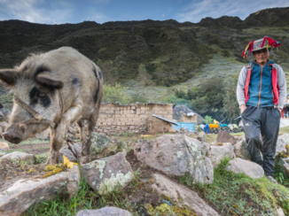 Valle Sagrado de los Incas - Smorgens vroeg in het dorpje Huacahuasi