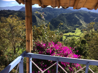 Valle de Cocora - Hett Andes gebergte