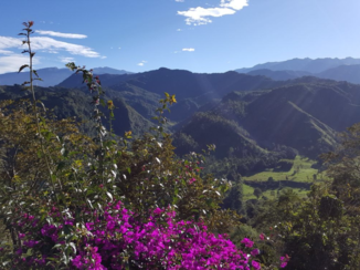 Valle de Cocora - Het Andes gebergte