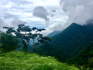 Colombia - Ciudad Perdida Trek