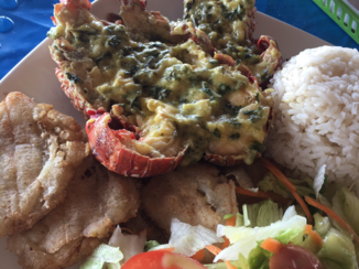 Colombia - Lobster