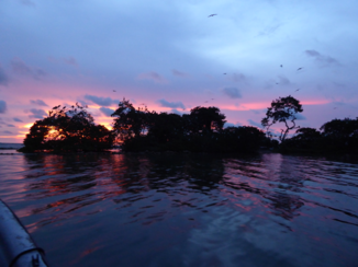 Colombia - Bird island