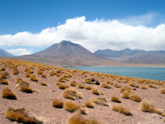 Chili - Laguna Miscanti