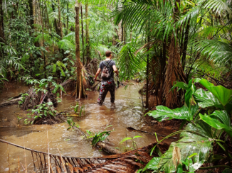 Suriname - Trekking regenwoud Suriname