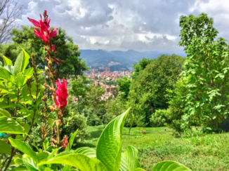 Colombia - Uitzicht bij Cerro Nutibara