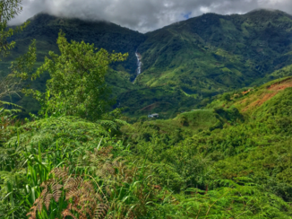 Colombia - Waterval bij Cisneros