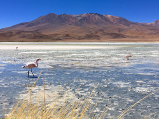 Salar de Uyuni