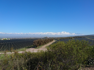 Mendoza - Masi Wijnvelden
