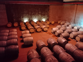 Mendoza - Masi Bodega