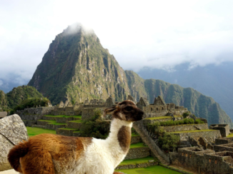 Peru