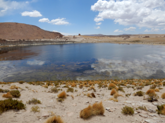 Bolivia - Laguna Negra
