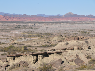 Ischigualasto Provincial Park