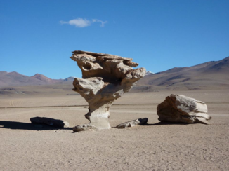 Bolivia - Árbol de Piedra