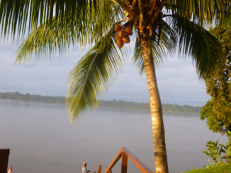 Amazonegebied - De Amazone, Madre de Dios