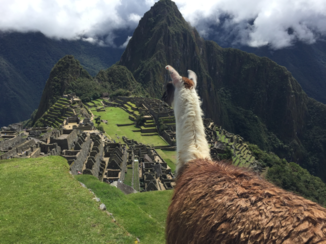 Peru