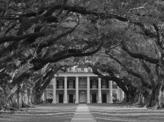Tioga Tours - Oak Alley Plantation