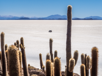 Rondreis Peru en Bolivia - De zoutvlakte van Uyuni