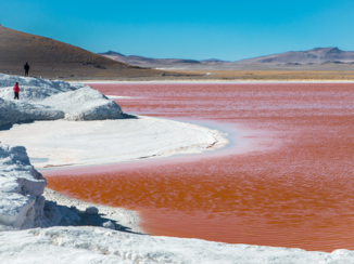 Rondreis Peru en Bolivia - Dieper in Bolivia, borax