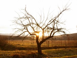 Gran Chaco Alle Tips Reviews En Reizen Vind Je Op Zuidamerika Nl